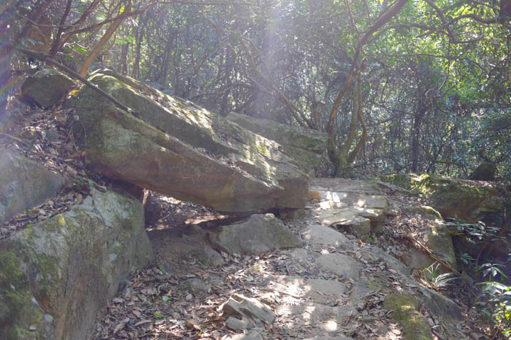 The overall trail’s surface is flat, except for this massive rock.